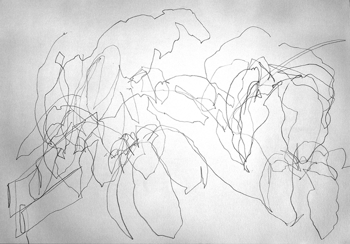 drawing